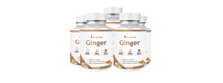 Nutripath Ginger Extract 5%- 5 Bottle 